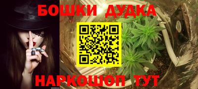 PSILOCYBIN Белорецк
